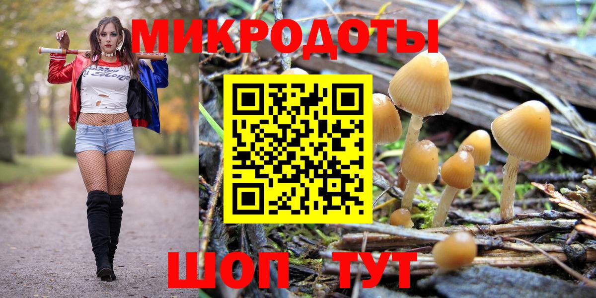 Псилоцибиновые грибы прущие грибы Волжский
