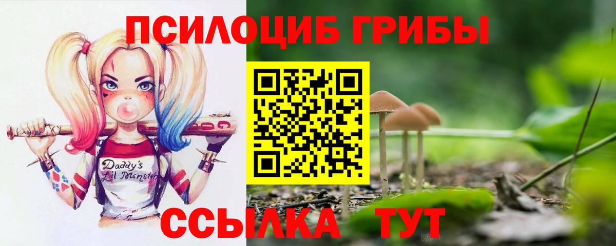 Галлюциногенные грибы мицелий  Вход с VPN  хочу наркоту  Галлюциногенные грибы Magic Shrooms  Волжский 